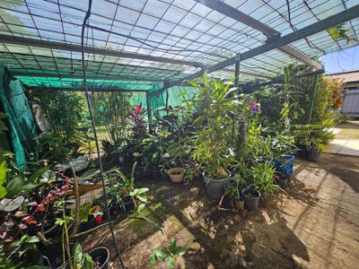 91 Hope Street, Cooktown