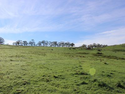 Jerry's Falls Road, Sodwalls