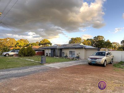 62 Strelitzia Avenue, Forrestfield