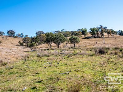 Lot 12, 212 Mole Station Road, Tenterfield