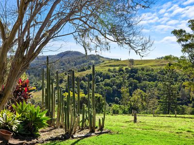 175 Oakey Creek Road, Georgica