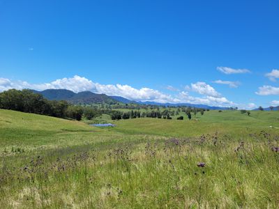 472 Neringla Road, Neringla