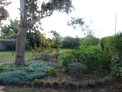 Tocumwal