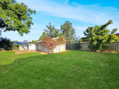 38 Whylandra Street, Dubbo