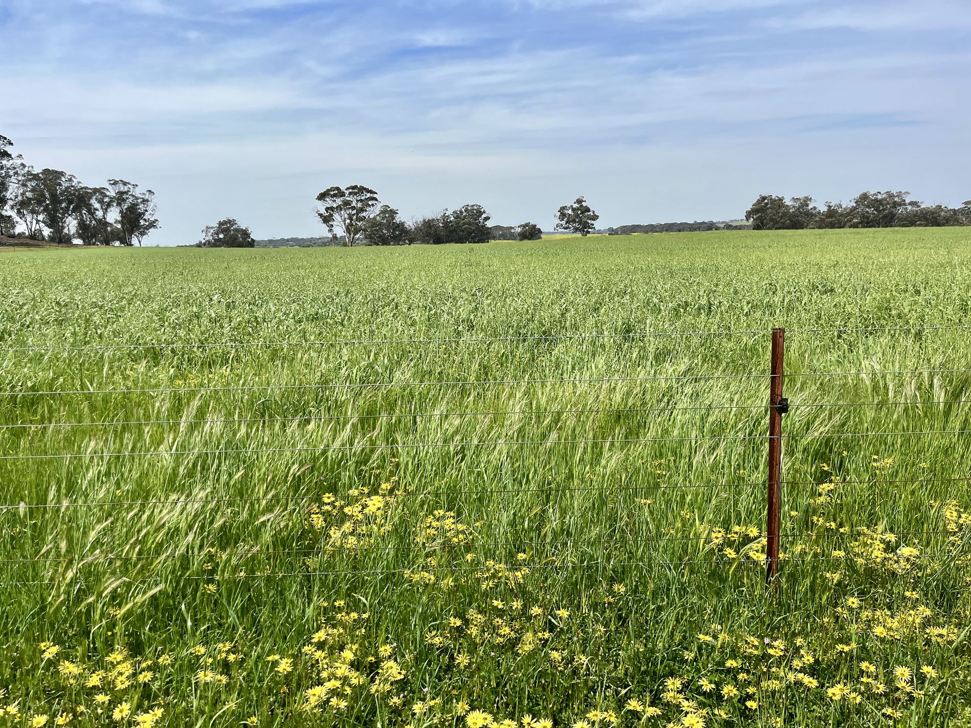 547 Bunmulling Road, Popanyinning