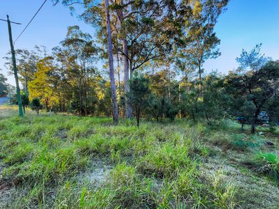 0 Benian Road, The Palms