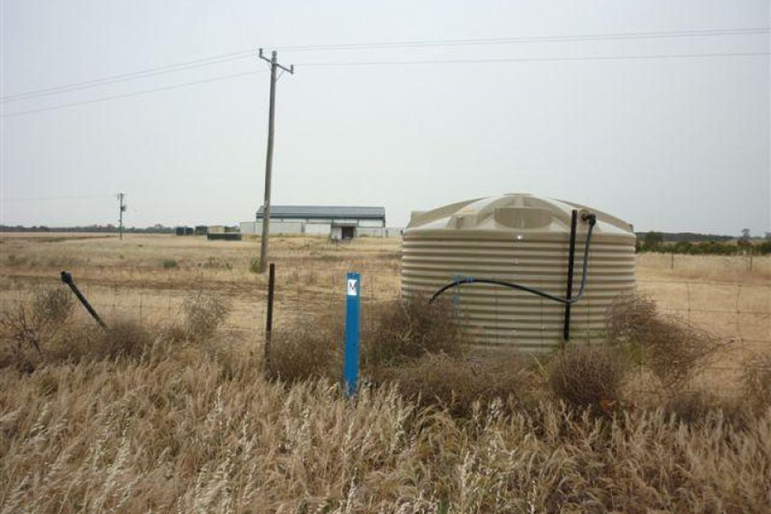3341  Borung Highway, Donald