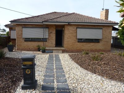 41 Gardenia Street, Horsham