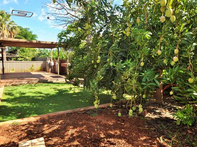 5 Padbury Place, Port Hedland