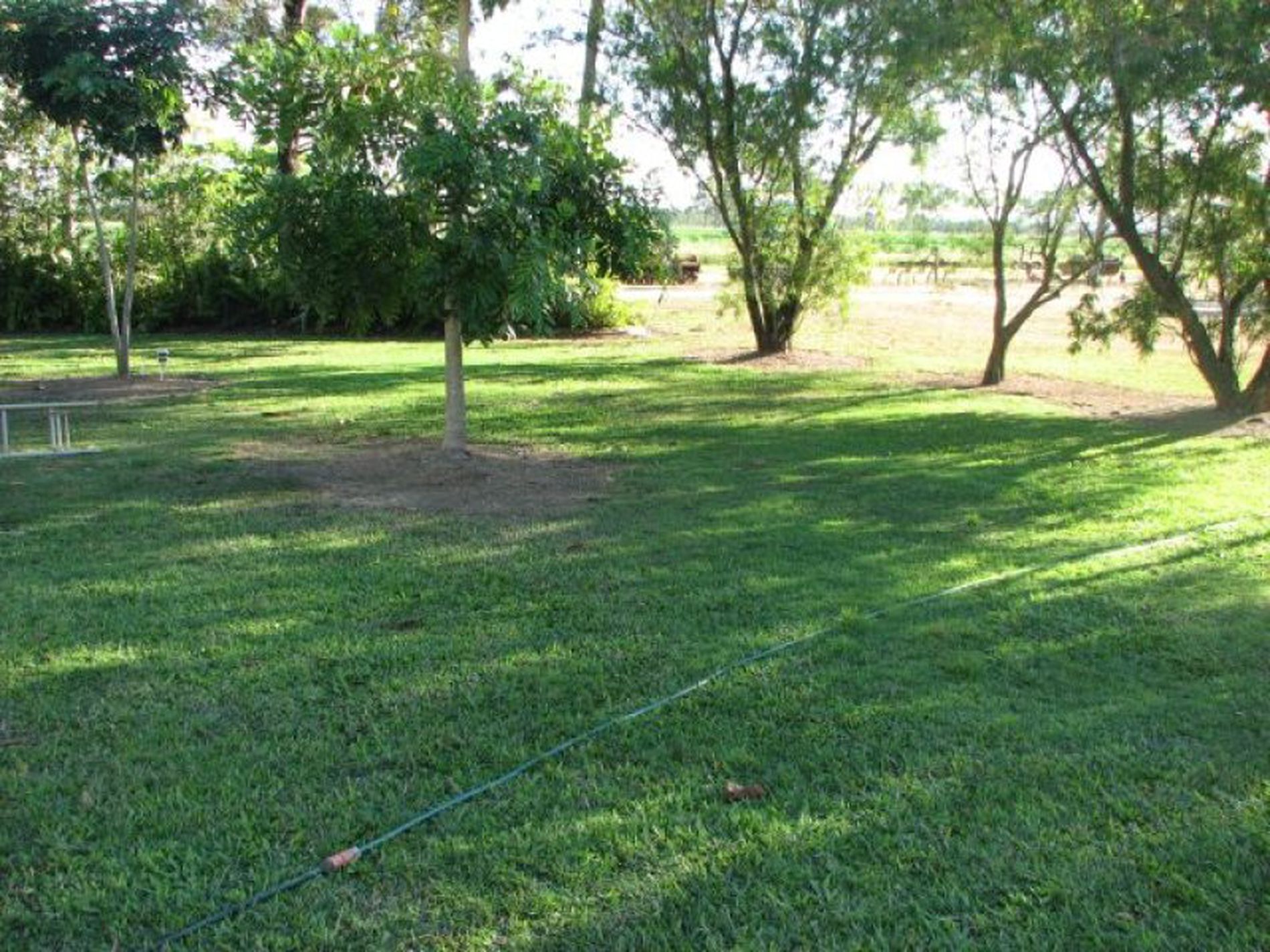 Mareeba