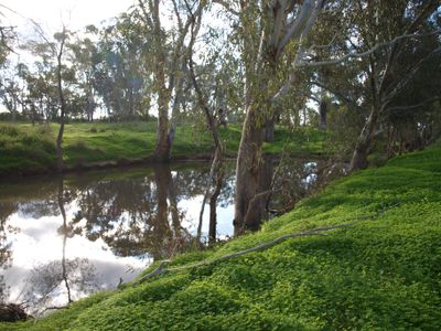 Lot 8A, B & C, Sloans Road, Powlett Plains