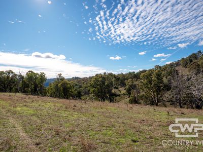 Lot 21 Halls Creek Road, Bendemeer