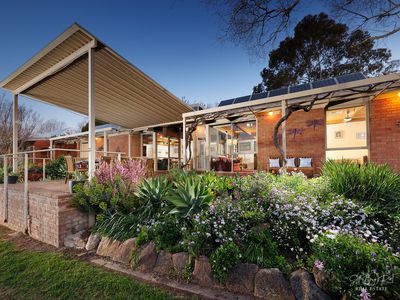 11 ARDERN PLACE, Wodonga
