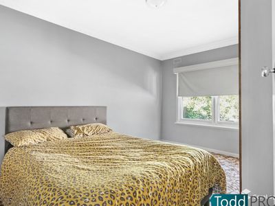 24 Fifth Avenue, White Hills