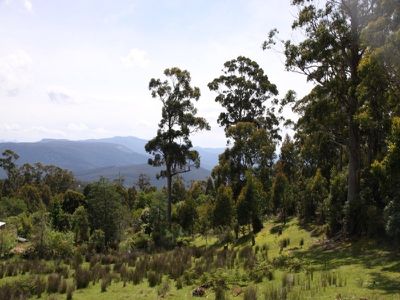 692 Bermuda Road, Glen Huon