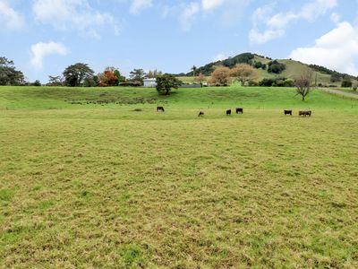 197 Taipuha Settlement Road, Paparoa