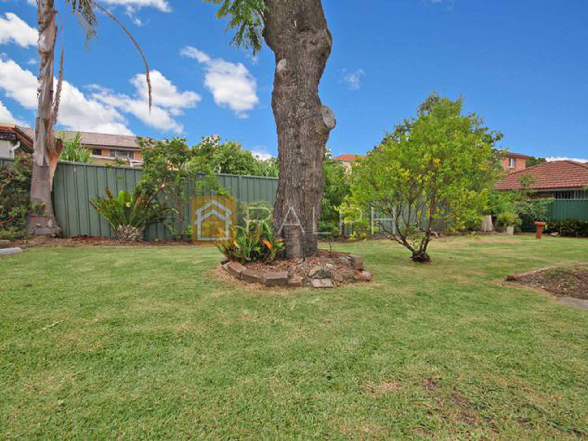 24 Hillard Street, Wiley Park