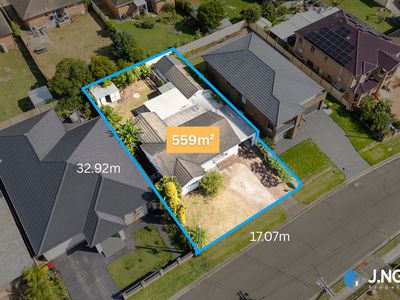 16 Mckibbin Street, Canley Heights