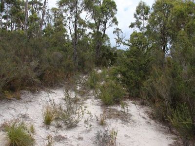 Lot 4 Esperance Coast Road, Surges Bay