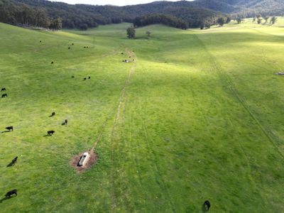 'Eastmore' 1177 Callaghan Creek Road, Mitta Mitta