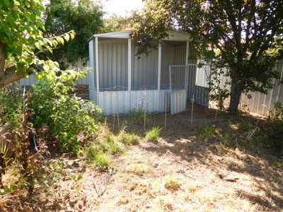 16 Field Street, Shepparton