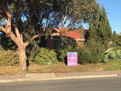 20 Coondoo Street, Ingle Farm