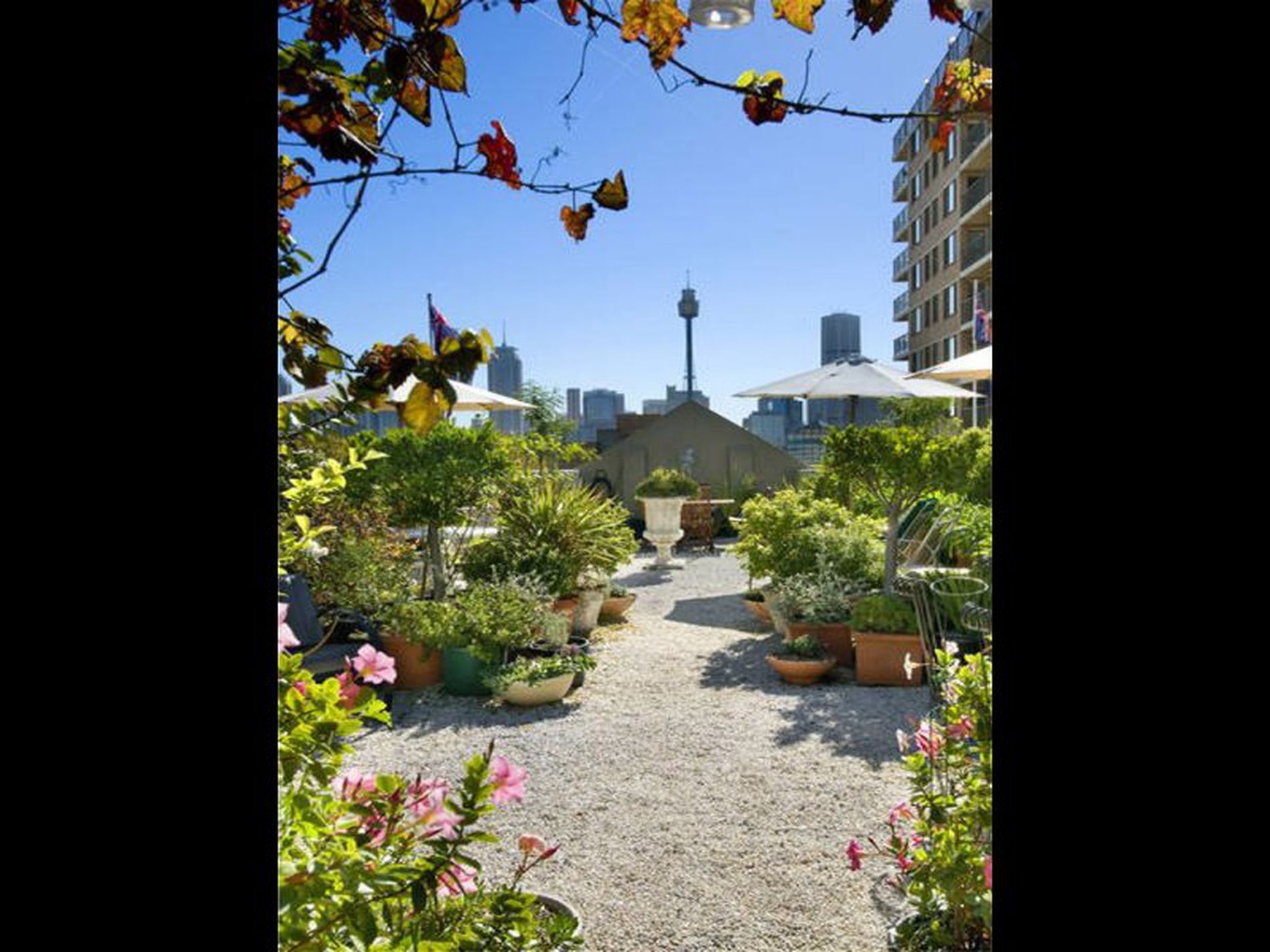 18 Springfield Avenue, Potts Point