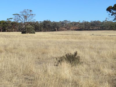 24804 / Mawson Doodenanning Road Balkuling, Quairading