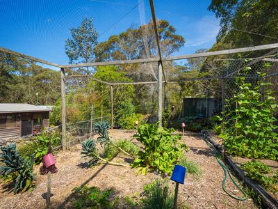 24 Amaroo Avenue, Barragga Bay