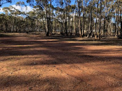 59 Palmer Road, Simson