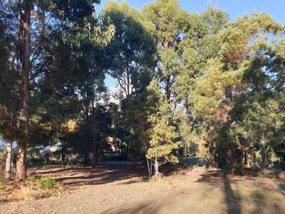 7 Amelia Street, Gordon