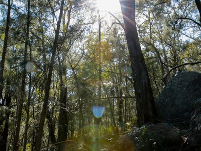 Lot 9 & Lot 10, 2824 Big Jims Reach, Hawkesbury River, Bar Point