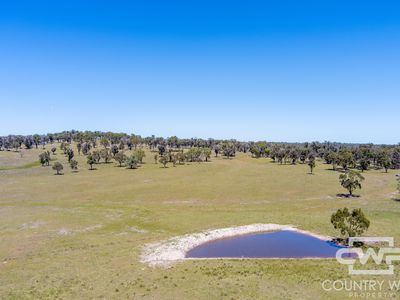 954 Bullock Mountain Road, Glen Innes
