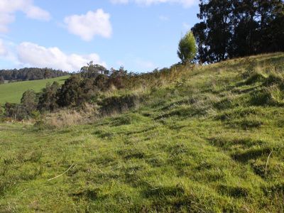 Glen Huon