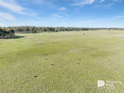 1 Keoghs Lane, Murphys Creek