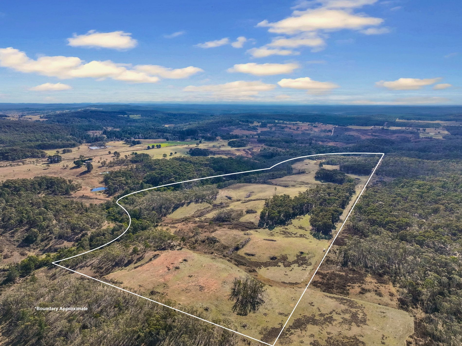 Lot 193 / 443 Back Creek Road, Mongarlowe