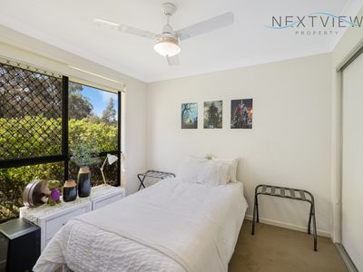 17 Wedgetail Street, Fletcher