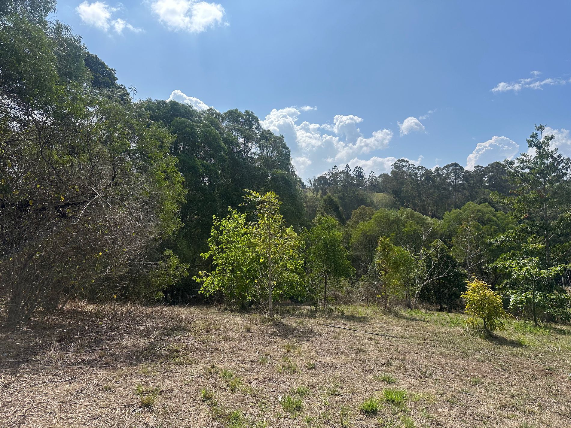 147 Kidaman Creek Road, Kidaman Creek