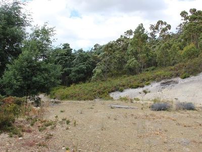547 She Oak Road, Judbury