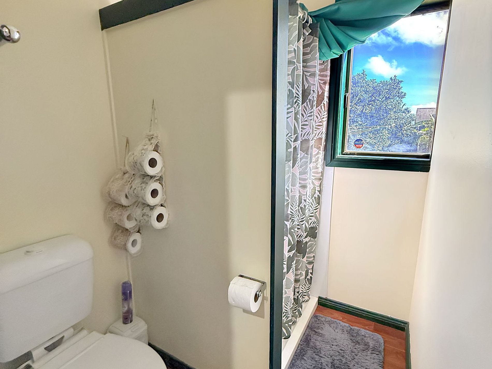 24 HALLORAN STREET, Tolga