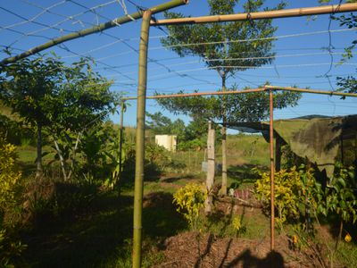 1212 Innisfail Japoon Road, Camp Creek