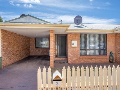 3 / 342 Piccadilly Street, West Lamington