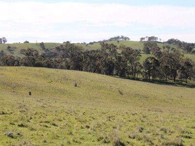 545 Hardings Lane, Tooborac