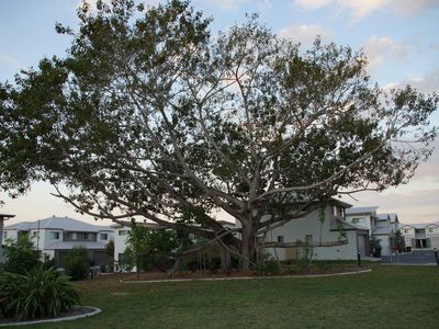 15 / 88 Shelduck Place, Calamvale