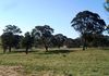 Lot 3 Reyfield Drive, Orange