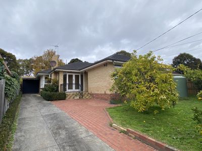 16 Woodhouse Grove, Box Hill North