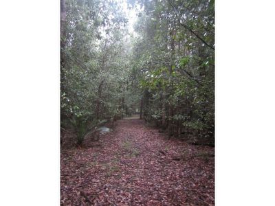 515 Tallowa Dam Road, Kangaroo Valley