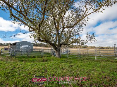 1574 Shannon Vale Road , Shannon Vale