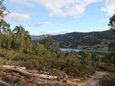 21 Morgans Road, Huonville