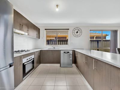 13  Cadell Ave, Tarneit
